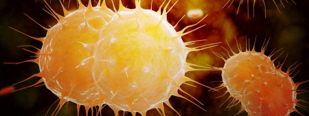 Gonorrhée, maladie sexuelle