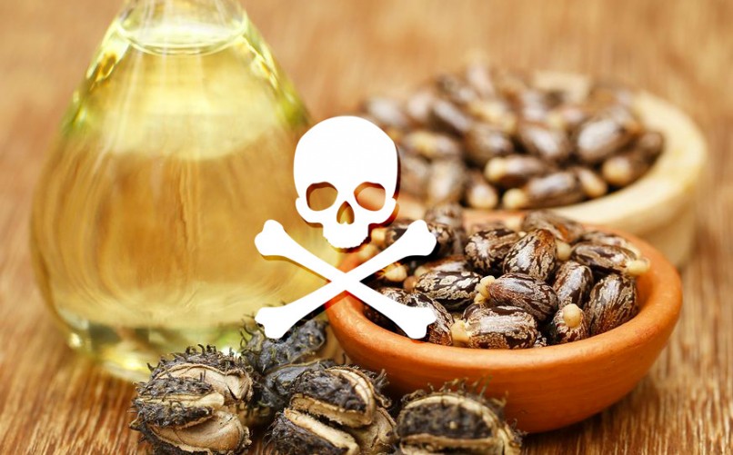 Les dangers de l'huile de ricin, les conseils santé